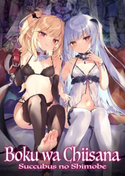 Boku Wa Chiisana Succubus No Shimobe poster